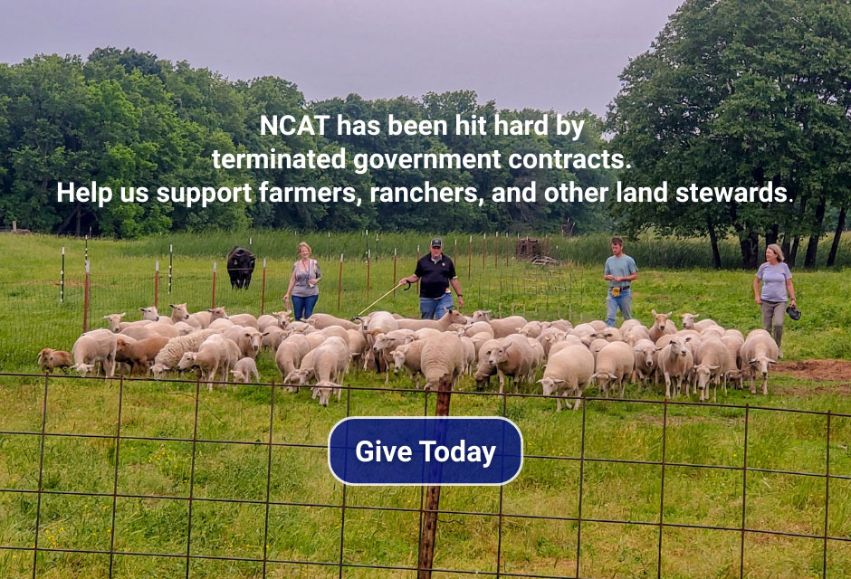 Fall Campaign Popup Image