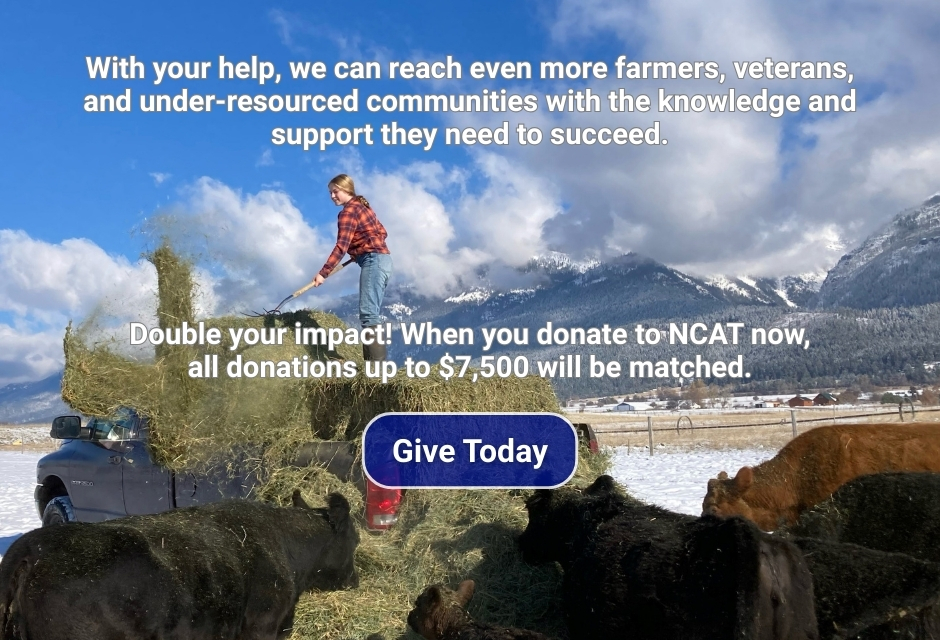 Year End Campaign Popup Image